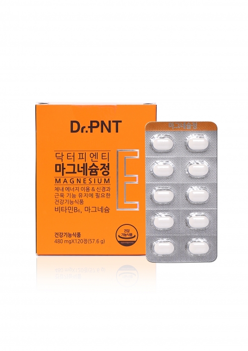 마그네슘정